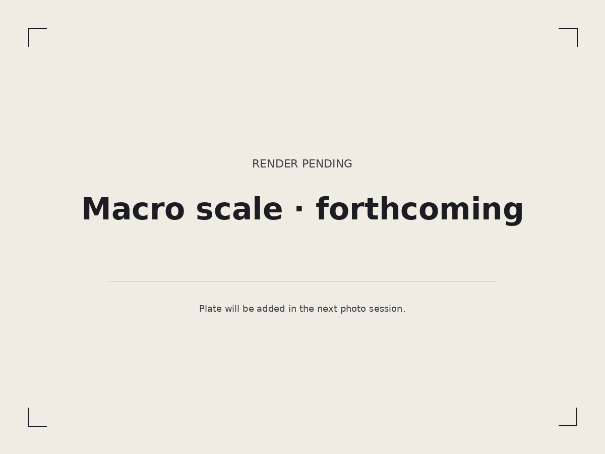 A placeholder plate, indicating a macro-scale render is forthcoming.